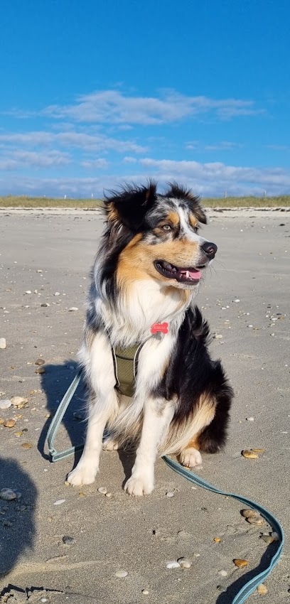 L'instant Canin Toiletteur Pour Animaux au Hézo