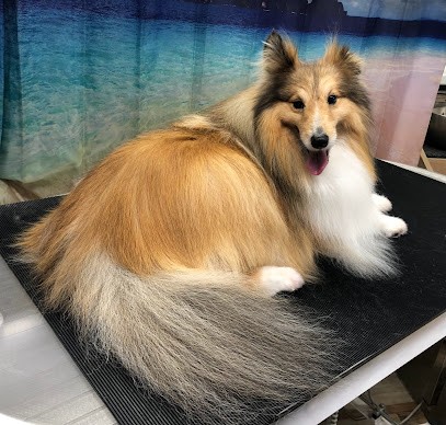 Bémol Beauté, Toiletteur pour Animaux à Métabief