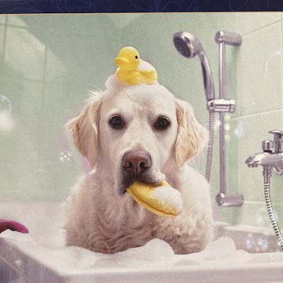 Lucky Toilettage, Toiletteur pour Animaux à Yssingeaux