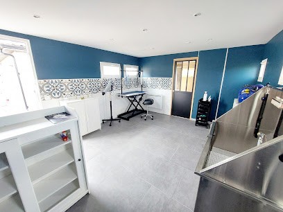 La Patte De Duq, Toiletteur pour Animaux à Offekerque