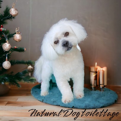 Natural'dog Toilettage à Domicile, Toiletteur pour Animaux aux Ardillats