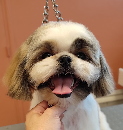 Laurie's Dog Toiletteur Pour Animaux à Longueau