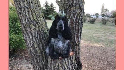 DOG KENNEL, Toiletteur pour Animaux à Mazé-Milon