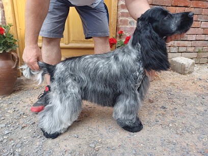 Poil De Mahon, Toiletteur pour Animaux à Valines