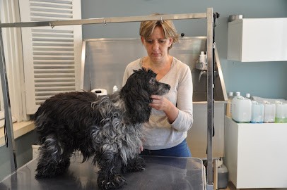 Joli Chien, Toiletteur pour Animaux à Bernay