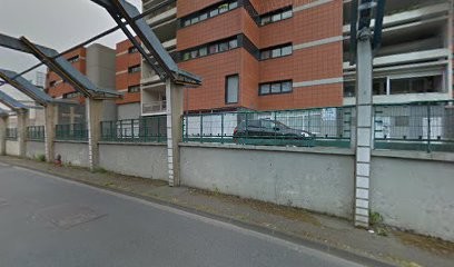 Hammane Aicha, Toiletteur pour Animaux à Villeneuve-d'Ascq