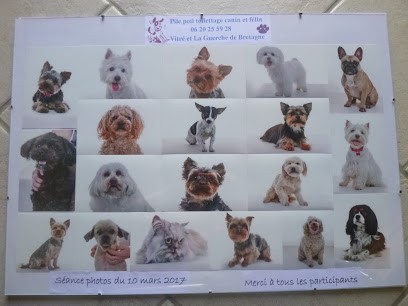 Pile Poil, Toiletteur pour Animaux à Vitré