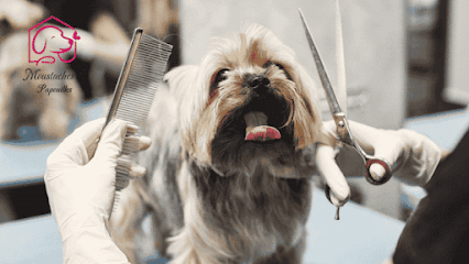 Moustaches Et Papouilles - Toiletteur À Domicile, Toiletteur Pour Animaux à Servon-sur-Vilaine