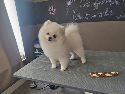 Abracada-Dog's, Toiletteur pour Animaux à Montauban