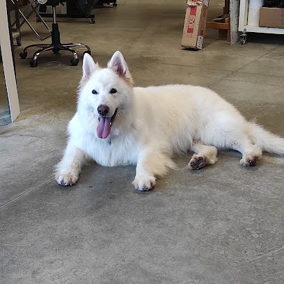 A LE RHEU CHIEN, Toiletteur pour Animaux au Rheu