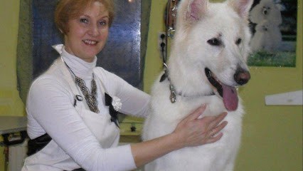 Centre de Beauté Canine, Toiletteur pour Animaux à Hénin-Beaumont