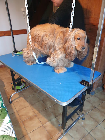 Aurelie Toilettage Toiletteur Pour Animaux à Saint-Jean-d'Angély