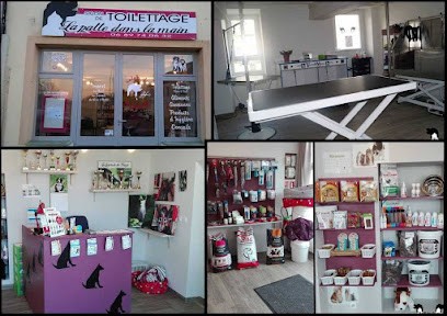 La patte dans la main, Toiletteur pour Animaux à Luzy