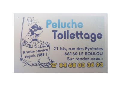 Peluche Toilettage, Toiletteur pour Animaux à Le Boulou