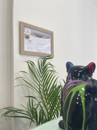 Chez Leslie Toilettage Canin & Félin Toiletteur Pour Animaux à Sainte-Maxime