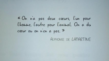 Plutobeau, Toiletteur pour Animaux à Jaunay-Marigny
