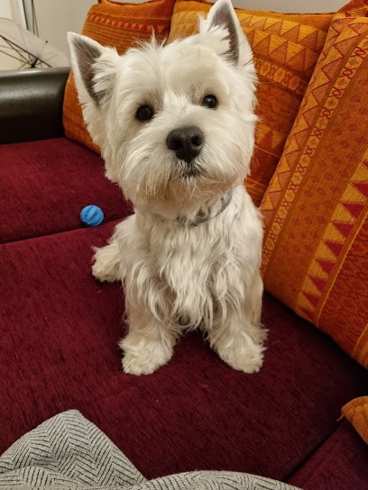 Au Garden Dog, Toiletteur pour Animaux à Lyon 06