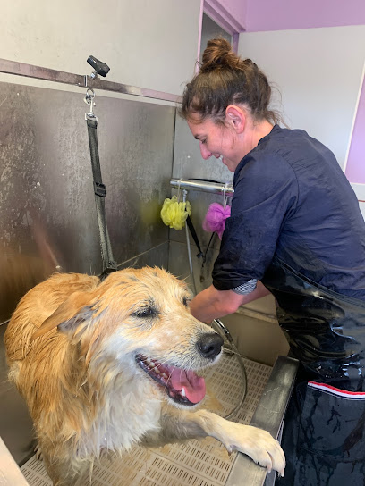 Histoire De Wouf, Toiletteur Pour Animaux à la Sauve