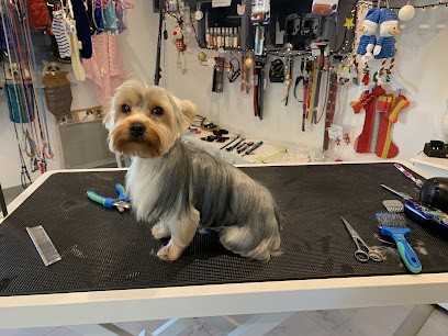 Un Amour De Chien, Toiletteur pour Animaux à Mazé-Milon