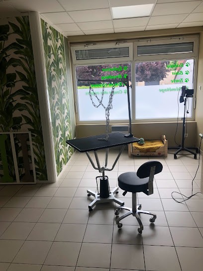 Salon De Toilettage Rubee K'wouaf, Toiletteur pour Animaux à Wizernes