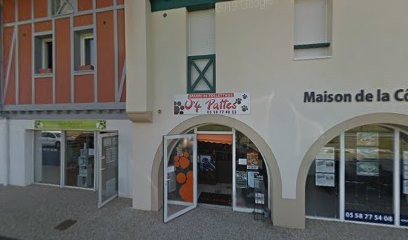 O'4 Pattes, Toiletteur pour Animaux à Saint-Vincent-de-Tyrosse