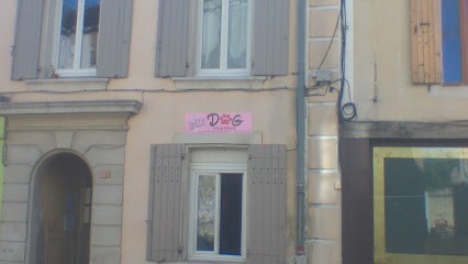 Toilettage Stardog, Toiletteur pour Animaux à Mirabel-aux-Baronnies