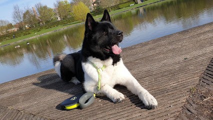 Eika Toilettage, Toiletteur pour Animaux à Wattrelos