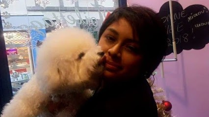 Au Royaume du Chien, Toiletteur pour Animaux à Lamballe