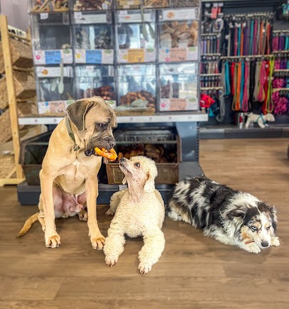 Magasin & Toilettage du Pays de Bray, Toiletteur pour Animaux à Neufchâtel-en-Bray