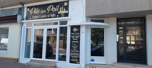 Pile Au Poil, Toiletteur pour Animaux à Vire Normandie