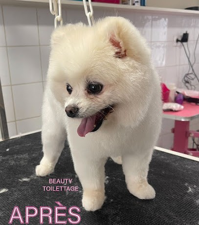 Beauty Toilettage (Canin Et Félin), Toiletteur pour Animaux à Saint-Zacharie