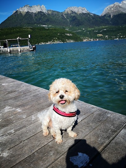 Au Chien Coquet, Toiletteur pour Animaux à Troyes