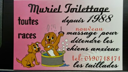 Muriel Toilettage, Toiletteur pour Animaux à Taillades