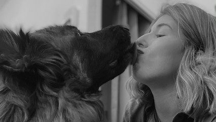 Puppy Doux Toilettage, Toiletteur pour Animaux à Lamorlaye