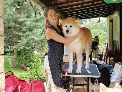 Esprit Canin - Toilettage De Chiens à Domicile - Alpes Maritimes Et Alpes De Haute Provence, Toiletteur pour Animaux à Sospel