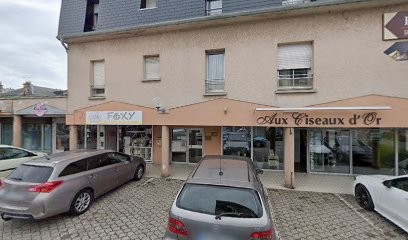 Foxy, Toiletteur pour Animaux à Rethel