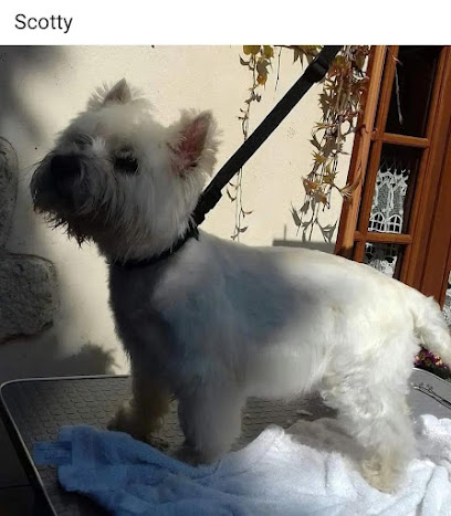Lili C'ouaf Toiletteur Pour Animaux à Nogent-sur-Oise