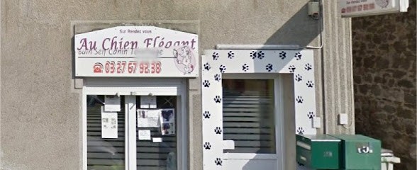 Au Chien Elegant, Toiletteur pour Animaux à Pont-sur-Sambre