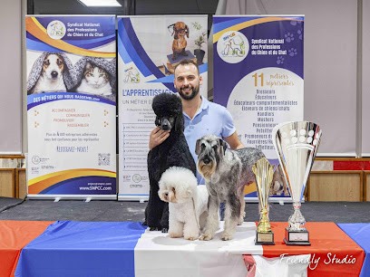 Grooming attitude, Toiletteur pour Animaux à Neuillé