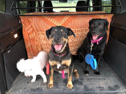 Andrieux Brigitte, Toiletteur pour Animaux à Puisserguier