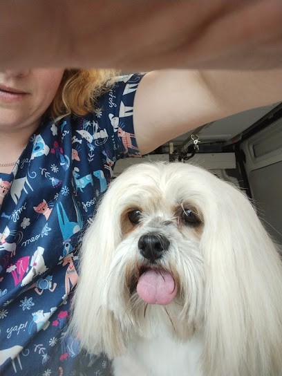 Toilettage A Domicile En Camion Scouby Toutou, Toiletteur pour Animaux à Téteghem-Coudekerque-Village