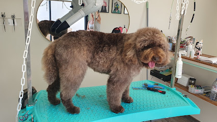 Toutou Tout Beau, Toiletteur Pour Animaux à Tavel