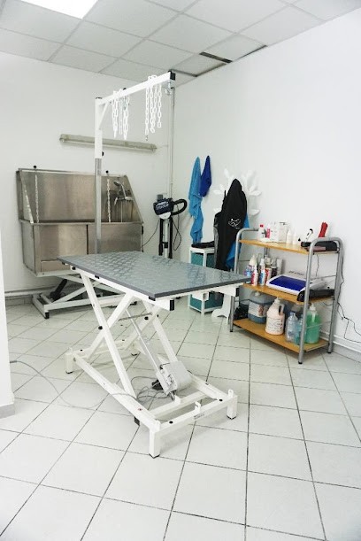 Joss KBeau, Toiletteur pour Animaux à Villers-sous-Saint-Leu