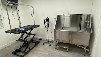 Anima'wash, Toiletteur pour Animaux à Somain