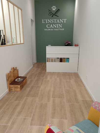 L'instant Canin, Toiletteur Pour Animaux à Thézan-lès-Béziers