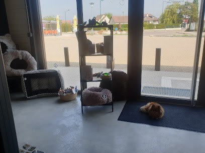 Salon De Toilettage Noiron Sous Gevrey Akela's Groom&Shop, Toiletteur pour Animaux à Noiron-sous-Gevrey