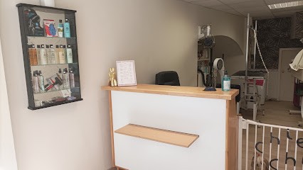 Chien Chic Karine, Toiletteur pour Animaux à Mende