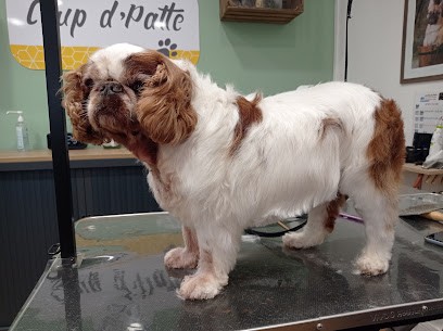 Coup d'Patte - Salon de toilettage - ESAT Nevers - FOL 58, Toiletteur pour Animaux à Nevers
