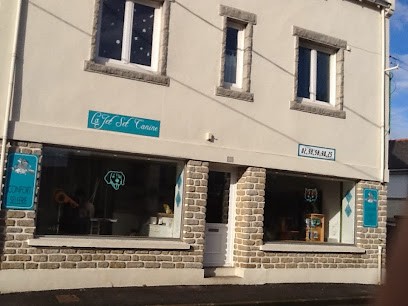 Jet Set Canine, Toiletteur pour Animaux à Plomeur