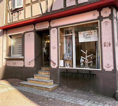 Salon De Toilettage Et Balnéo - Bulles De Pattes, Toiletteur Pour Animaux à Dambach-la-Ville